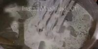 نذری متفاوت در این شهر+ فیلم