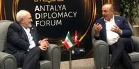  دیدار ظریف با وزیر امور خارجه ترکیه 