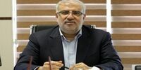 اظهارات مهم وزیر نفت درباره میدان گازی آرش