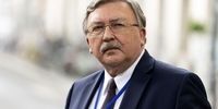 اولیانوف: گفتگوهای بروکسل جایگزین مذاکرات برجامی نیست