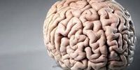 امیدواری محققان به کپی مغز انسان روی تراشه‌های ۳ بعدی!