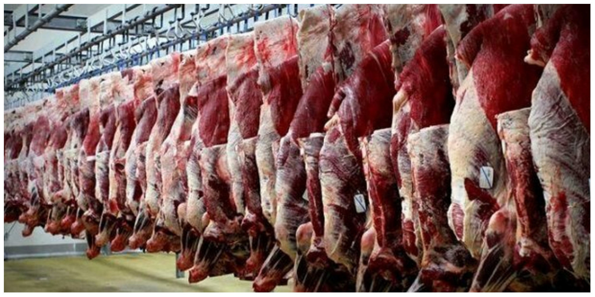 قیمت گوشت ۲۰۰ هزار تومان گران شد