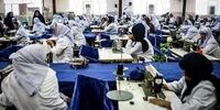 
اهمیت زنان شاغل در رشد اقتصادی خاورمیانه و شمال آفریقا