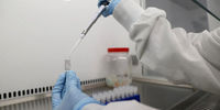 تزریق انسانی واکسن کرونای رازی تا ۳ هفته آینده