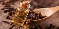 ​با این روغن از شر پشه ها خلاص شوید!