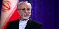 صالحی: باید فرض کنیم فردا جنگ می شود زیرا.../ غافلگیری یک اصل جنگی است +فیلم