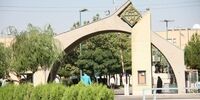 برخورد فیزیکی یک استاد دانشگاه با یک دختر بی حجاب صحت دارد؟