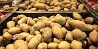  سیب‌زمینی هم لاکچری می‌شود؟/ رشد 26 درصدی قیمت فقط در یک‌ماه