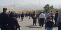 روایت خبرگزاری فارس از صفر تا صد مراسم چهلم «مهسا امینی» + فیلم