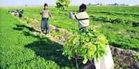 سرمایه گذاری 9 هزار میلیارد تومانی دولت دربخش آب کشاورزی