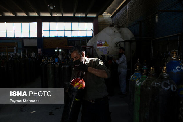 62015393_mohamaali-ghasemi-2
