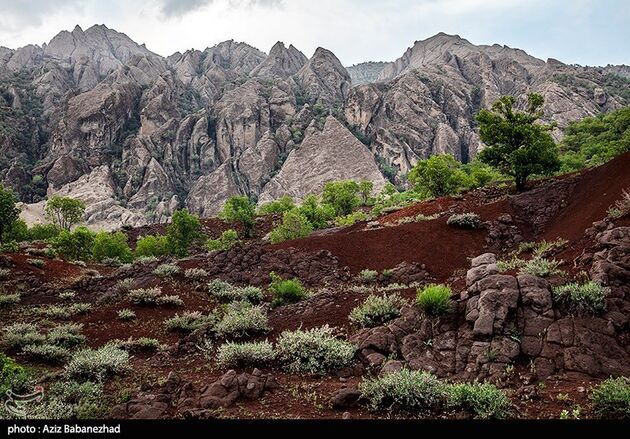 image12