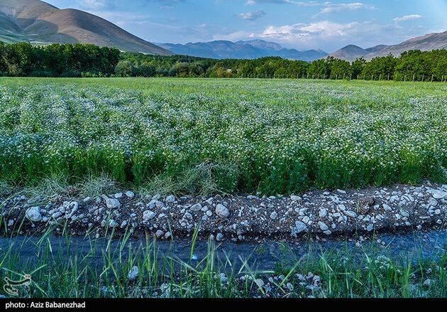 image10