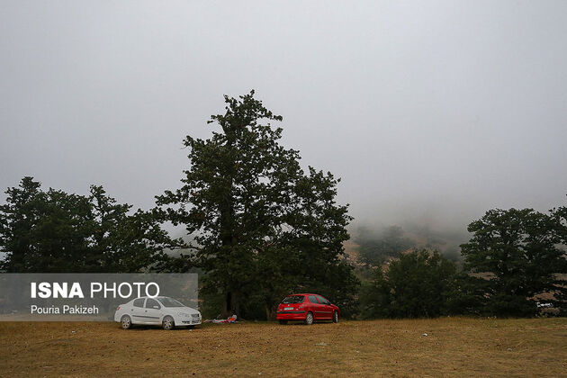 57742858_pouria-pakizeh-3