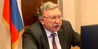 میخائیل اولیانوف: منع دسترسی به کرج نقض توافقات پادمانی نیست