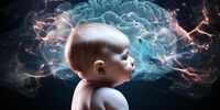 شباهت شگفت‌انگیز مغز نوزاد و هوش مصنوعی