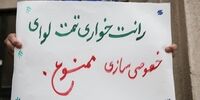 خطر خصولتی ها و شبه دولتی ها برای اقتصاد ایران | خصوصی سازی بدون بخش خصوصی واقعی، تثبیت قدرت و ثروت حلقه ای محدود است