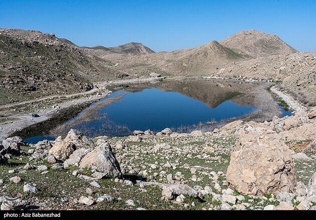 image8