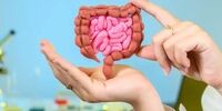  خوراکی‌هایی که هرگز نباید با معده خالی بخورید