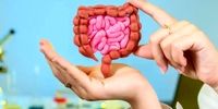  خوراکی‌هایی که هرگز نباید با معده خالی بخورید