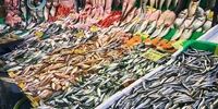 قیمت جدید انواع ماهی در میادین و تره بار