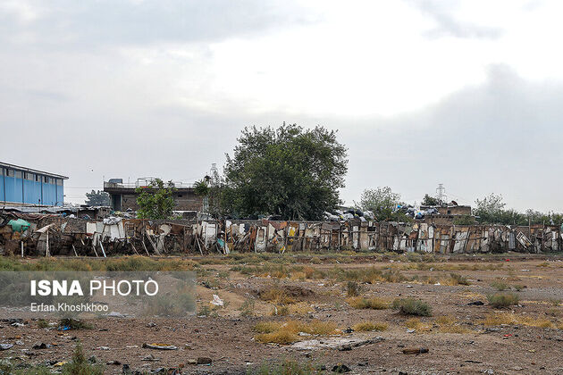 61469406_Erfan-Khoshkhoo-0185