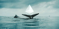 یک نهنگ اتریوم با خرید بی سابقه 6 رمزارز جنجال به پا کرد!