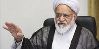مصباحی مقدم: برنامه ۷ هزار صفحه‌ای را از رئیسی خواستم، ارائه نداد