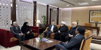 سیدعباس عراقچی وارد دهلی‌نو شد +فیلم