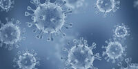 هشدار نسبت به خطر سویه وحشی کرونا !