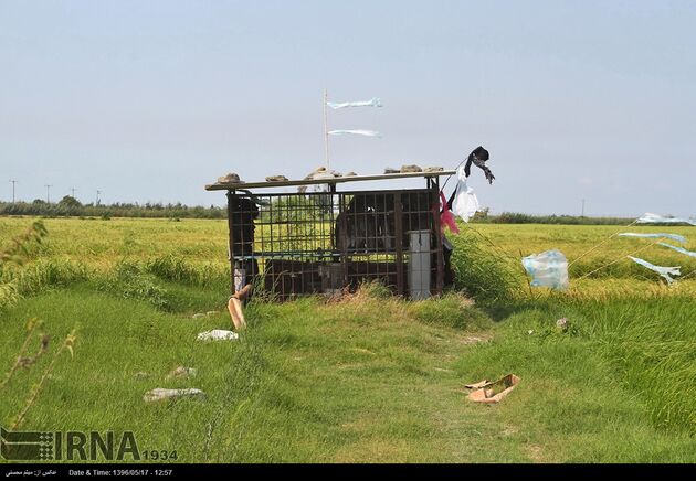 حفر چاه های غیرمجاز در گلستان