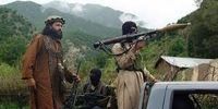 کشته شدن ۵ عضو گروه طالبان در حمله افراد مسلح ناشناس