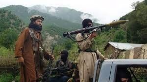 کشته شدن ۵ عضو گروه طالبان در حمله افراد مسلح ناشناس