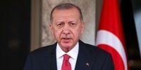 واکنش اردوغان به بیانیه آمریکا و متحدانش درباره قوانین ترکیه