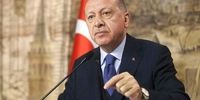 اردوغان: ارتباط با طالبان برای جلوگیری از افزایش مهاجرت باید حفظ شود