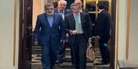 لحظه ورود گروسی به تهران + فیلم