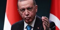 انتقاد اردوغان از اتحادیه اروپا: 50 سال ما را پشت در نگه داشتند/ هیچ نیازی به شما نداریم