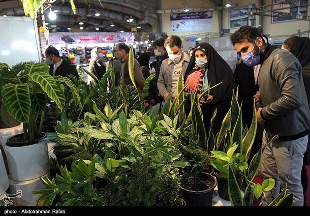 نمایشگاه گل همدان