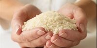 قیمت برنج پایین می‌آید؟ / آغاز واردات برنج از اول آذر