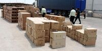 «کیت»های تقلبی آقایان را باردار کرد!
