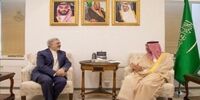 رایزنی سفیر ایران با معاون اقتصادی وزیر خارجه عربستان