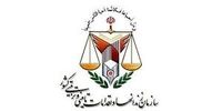 دستور رییس سازمان زندان‌ها برای پیگیری علت فوت شاهین ناصری