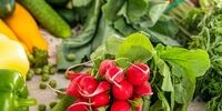 این روش نگهداری سبزیجات باعث سرطان معده می شود!