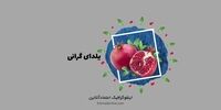 هر سال گرانتر از پارسال/مظنه شب نشینی شب یلدا چقدر می شود؟+تینفوگرافی