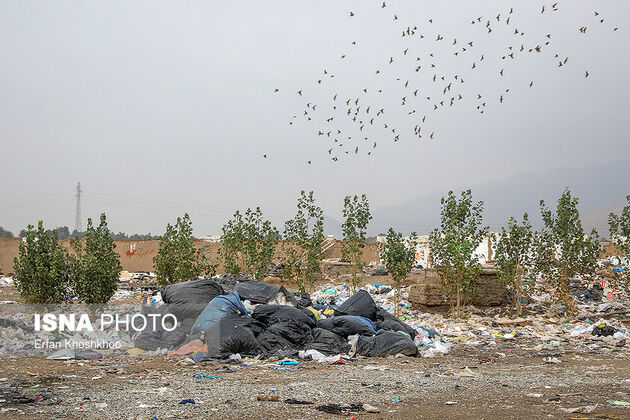 61469417_Erfan-Khoshkhoo-0383