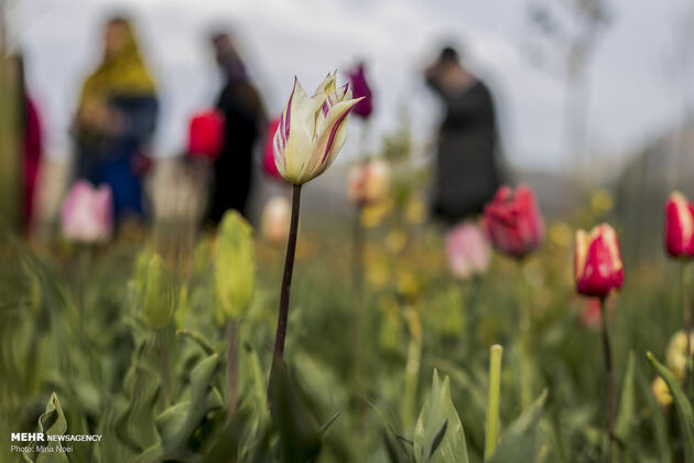 3769501_IMG_9168