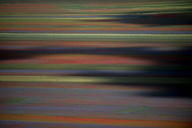 FfiHr8kcewhg