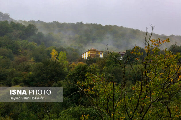 62097452_vahid-hoseini-12