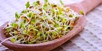 ۶ راهکار ساده برای چاق شدن صورت بدون اضافه وزن بدن