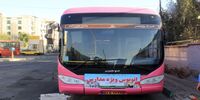 شگرد جدید تیم زاکانی؛ صفرسازی تقویم برای جمع کردن افتخار!